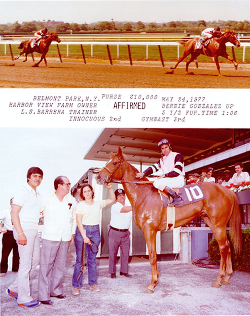 Affirmed - Maiden Victory
