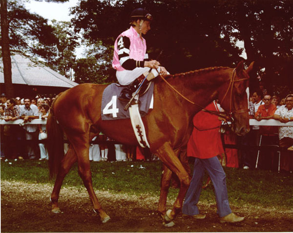 Affirmed - Saratoga