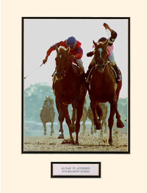 Alydar & Affirmed - The Belmont