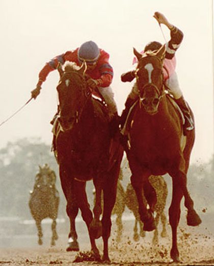 Alydar & Affirmed - The Belmont Stakes