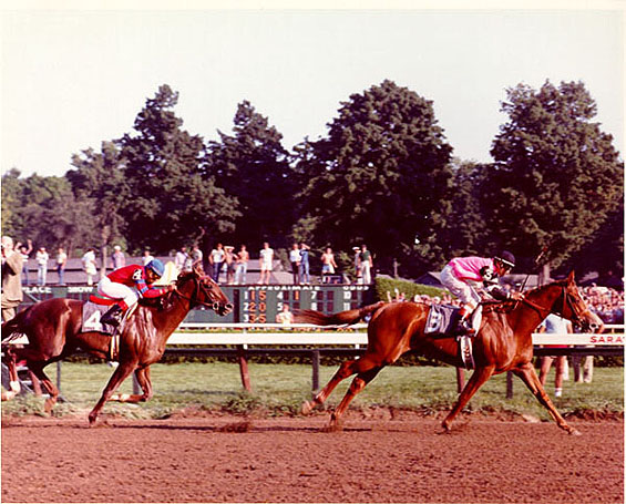 Alydar & Affirmed - The Travers
