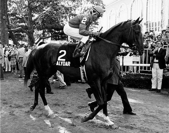 Alydar The Belmont Post Parade