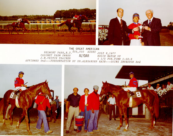 Alydar The Great American
