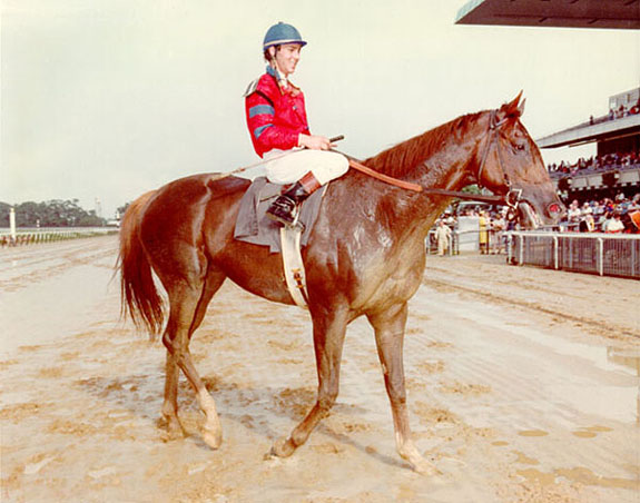 Alydar with Jeffery Fell