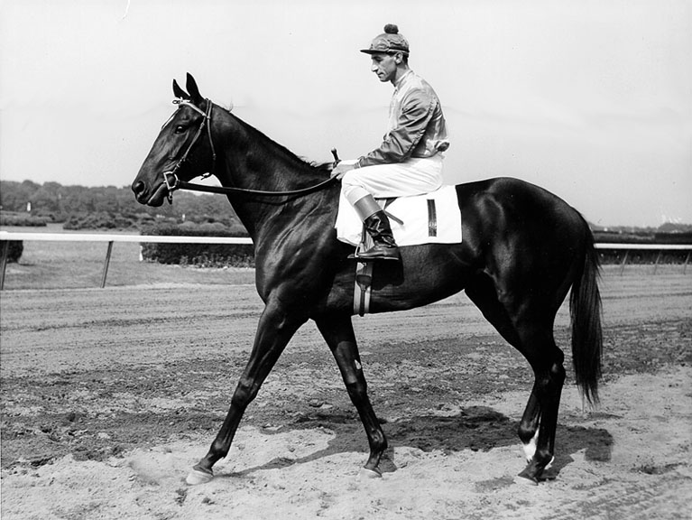 Bold Ruler