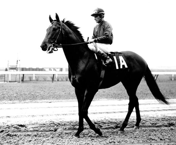 Dr Fager