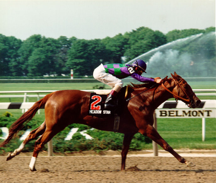 Meadow Star