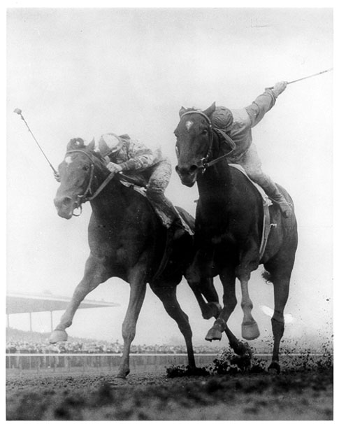 Bold Ruler and Gallent Man