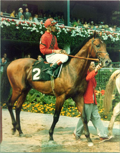 Dr Fager