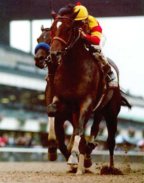 Fusaichi Pegasus
