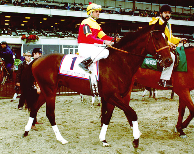 Fusaichi Pegasus