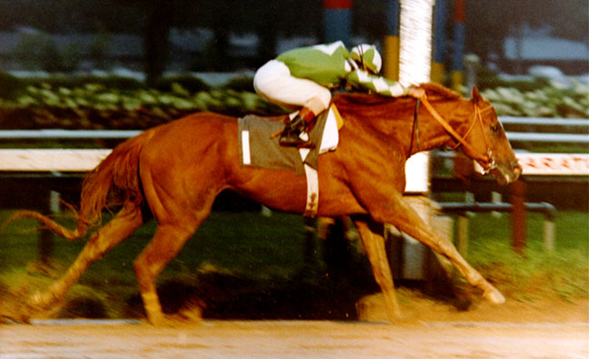 General Assembly  The Travers