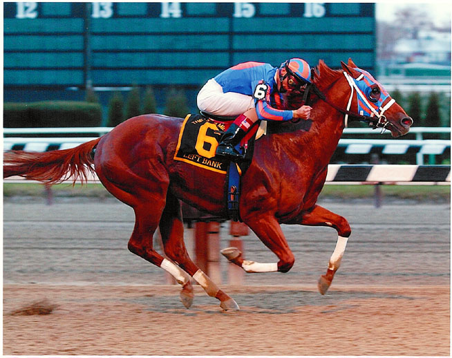 Left Bank The Cigar Mile