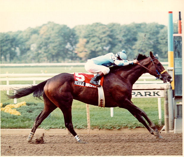 Noble Nashua