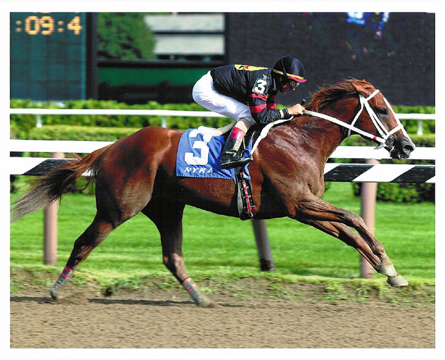 Red Bullet  -  Saratoga Allowance