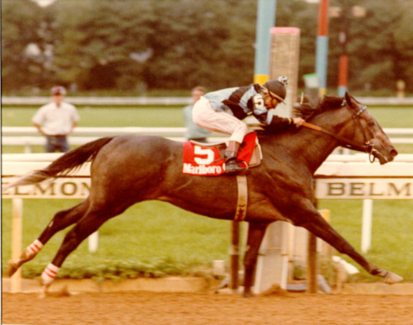 Spectacular Bid And Willie Shoemaker