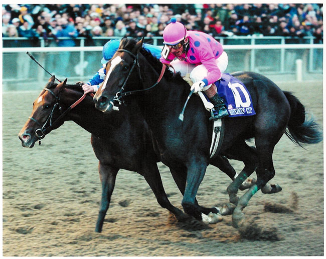 Tiznow - The Breeders Cup Classic