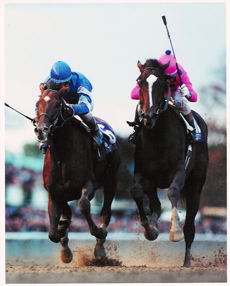 Tiznow The Breeders Cup Classic
