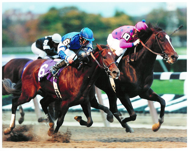 Tiznow The Breeders Cup Classic  - Sakee