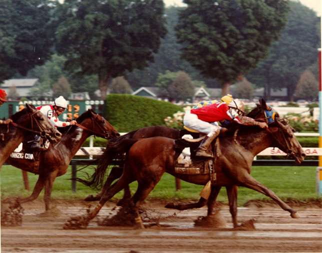 Wise Times - The Travers