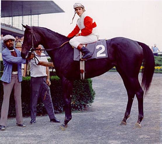 Ruffian  The Astoria Stakes