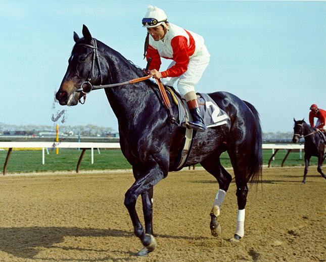 Ruffian  The Caltha Purse