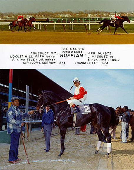 Ruffian  The Caltha Purse