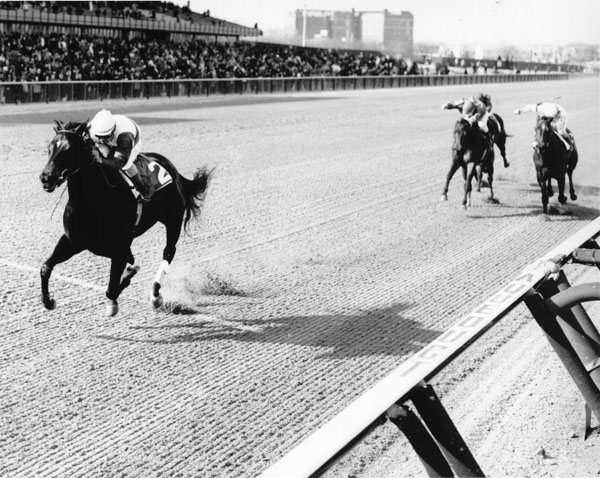 Ruffian  The CC Oaks