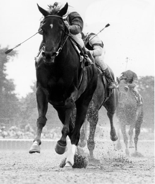Ruffian  The CC Oaks