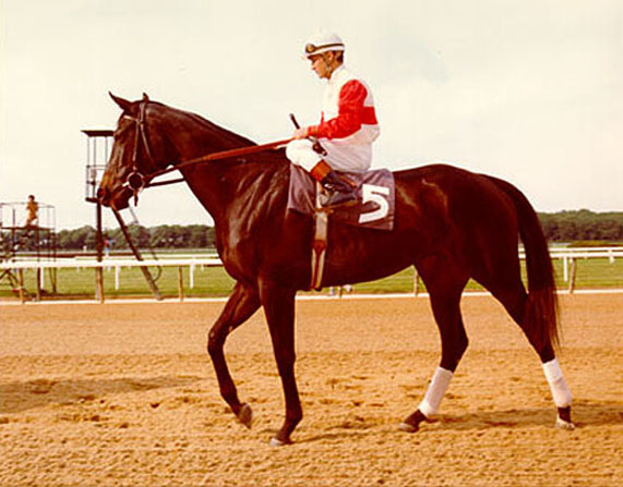 Ruffian  The Coaching Club American  Oaks