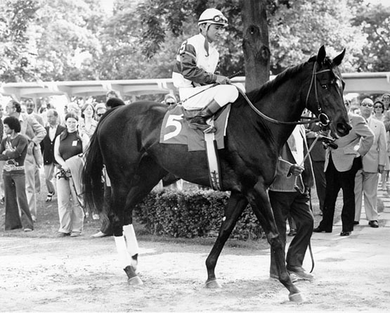 Ruffian  The Coaching Club American Oaks