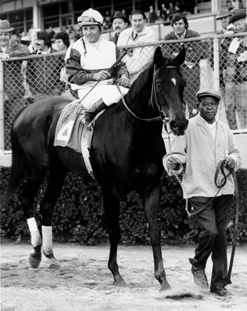 Ruffian  The Comely Stakes