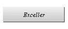Exceller