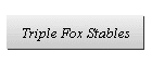 Triple Fox Stables