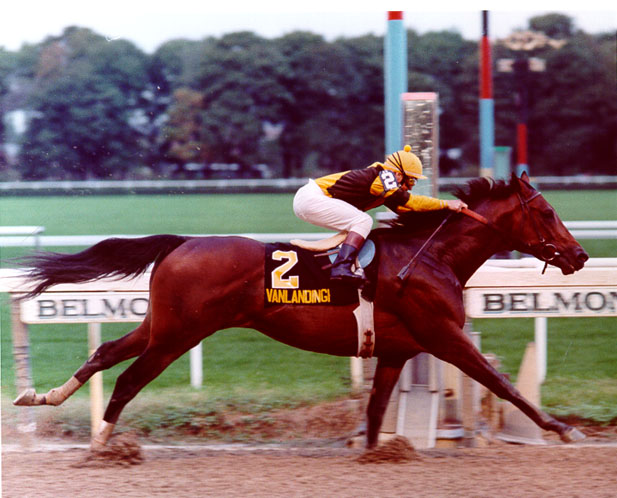 Vanlandingham  1985 Jockey Club Gold Cup