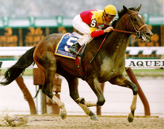 Fusaichi Pegasus