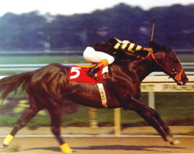 Seattle Slew
