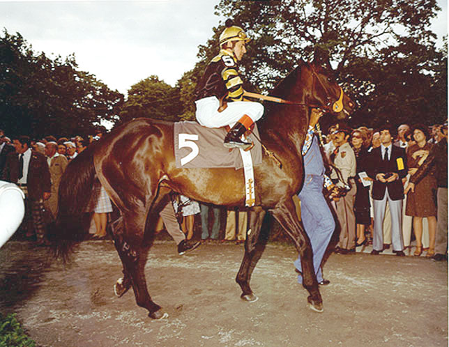 Seattle Slew