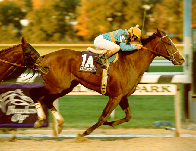 Unbridled