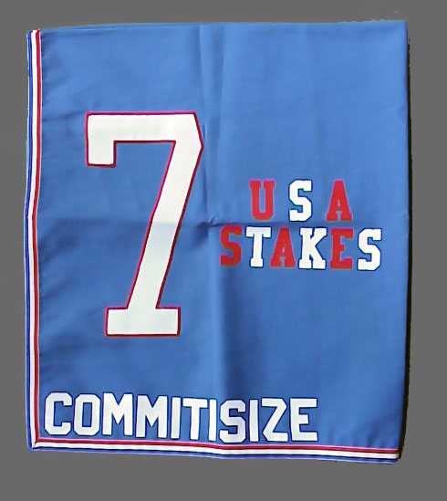 Commitisize