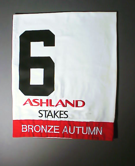 Bronze Autumn