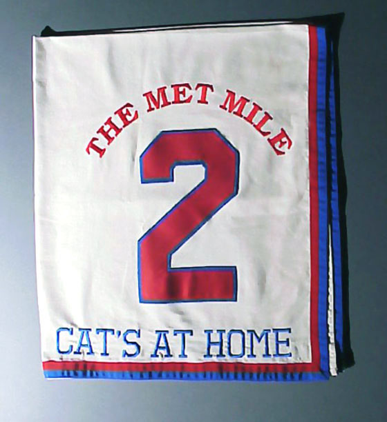 Cats At Home