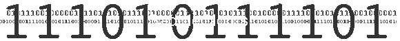SaddleCloths