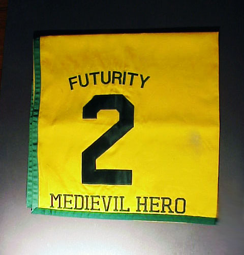 Medievil Hero