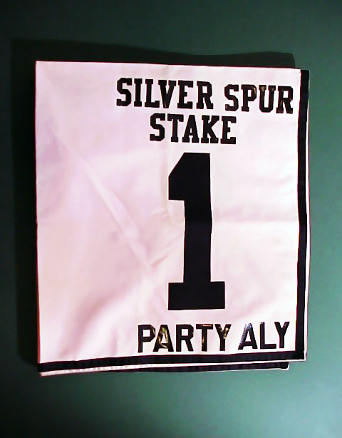 Party Aly