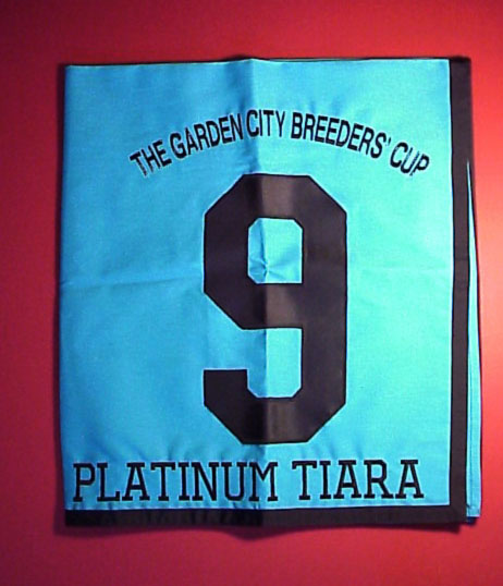 Platinum Tiara