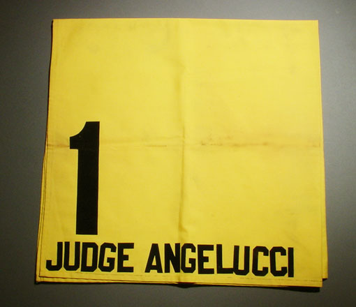 Judge Angelucci