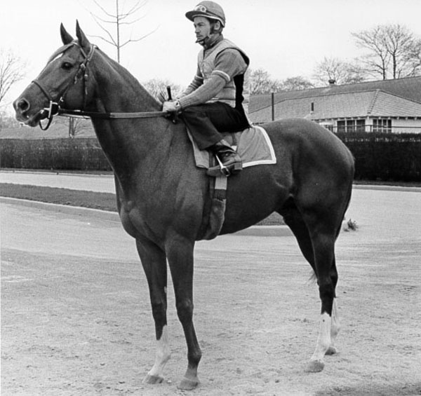 Secretariat  Morning  Moment