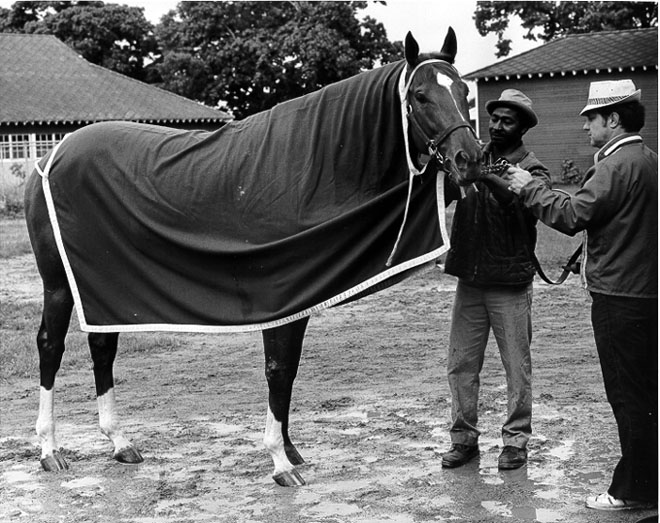 Secretariat  Morning Bath