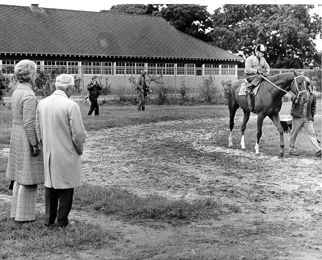Secretariat  Morning Canter  